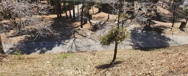 Running Springs, CA 92382,0 Preston Drive