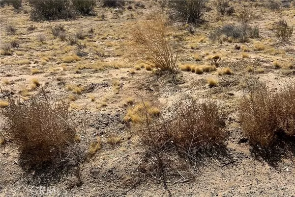 Adelanto, CA 92886,0 Highway 395