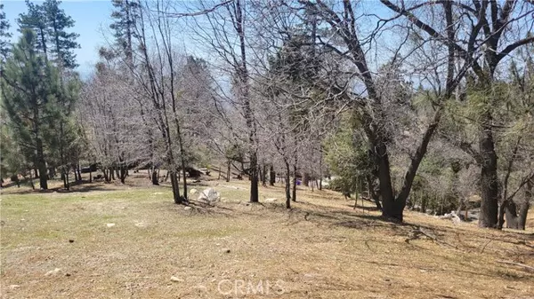 Running Springs, CA 92382,0 Winding Way