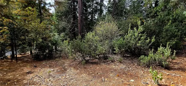 308 Pioneer Road, Lake Arrowhead, CA 92352