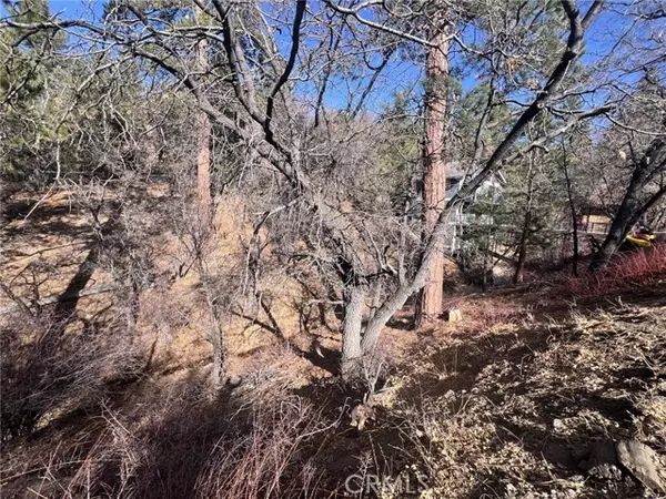 Big Bear City, CA 92314,1230 S Minton Avenue