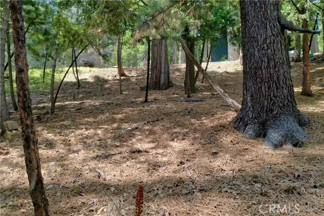 Lake Arrowhead, CA 92352,0 Terrace