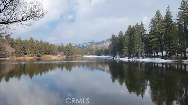 Green Valley Lake, CA 92341,32991 Canyon Drive