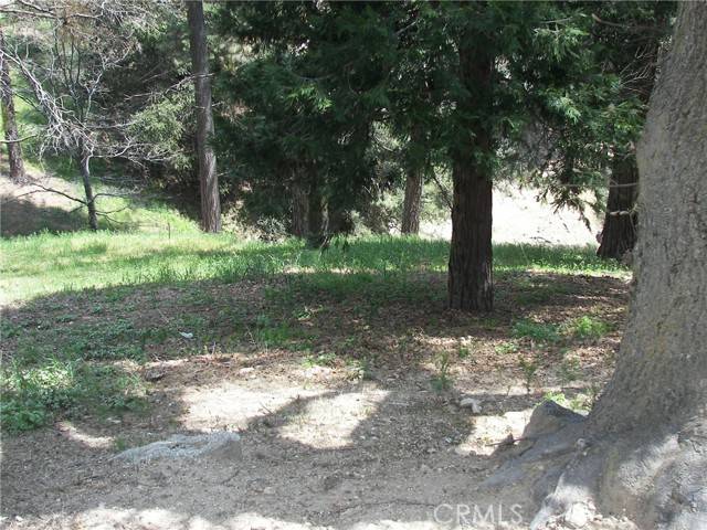Cedarpines Park, CA 92322,21524 Crest Forest Drive