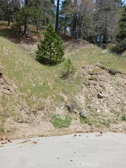 Cedarpines Park, CA 92322,21858 Fern Canyon Road