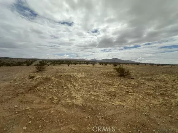 Helendale, CA 92342,0 Palomino Road