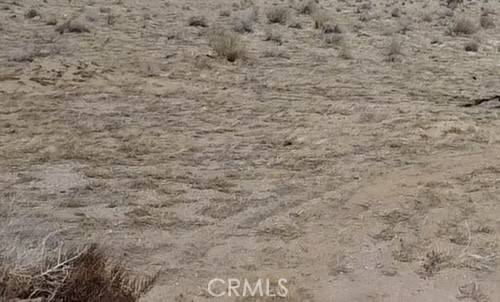 0 Hollywood, Twentynine Palms, CA 92277