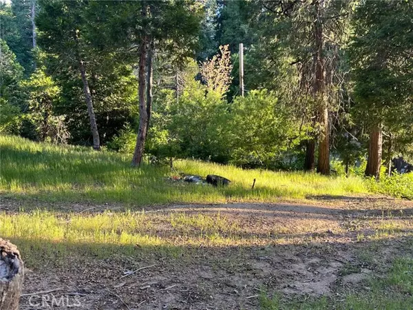 Cedar Glen, CA 92321,29038 Terrace