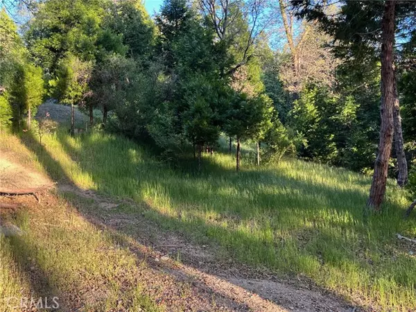 Cedar Glen, CA 92321,29038 Terrace