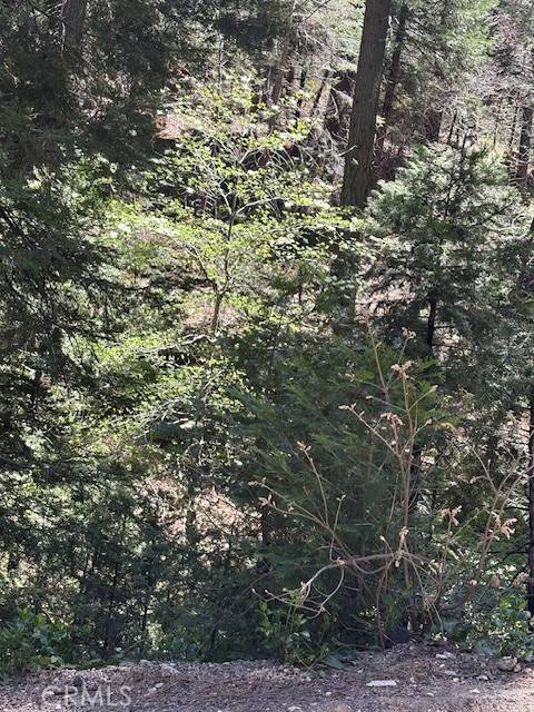 Twin Peaks, CA 92391,26101 Boulder Lane