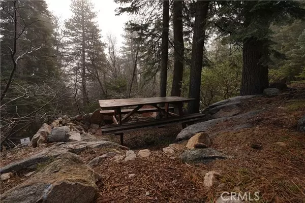 Twin Peaks, CA 92391,26335 Forest Lane