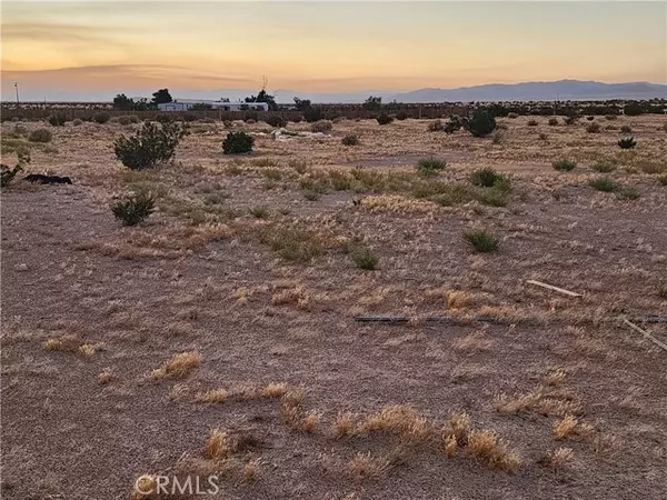 Newberry Springs, CA 92365,47701 Palma Vista Road