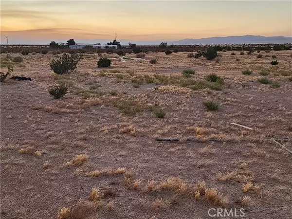 Newberry Springs, CA 92365,47701 Palma Vista Road