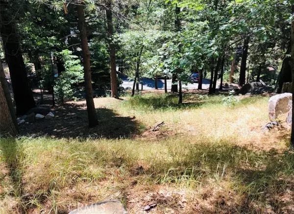 Lake Arrowhead, CA 92352,27315 Pinewood Drive