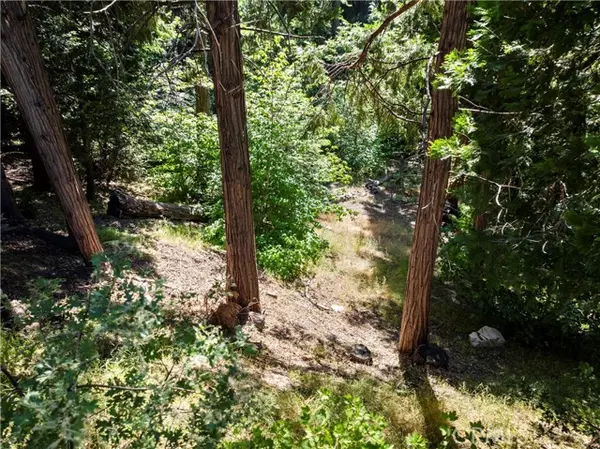 Lake Arrowhead, CA 92352,356 Ca-173