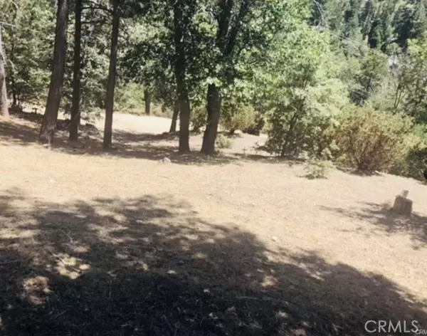 Cedar Glen, CA 92321,508 Redwood Road