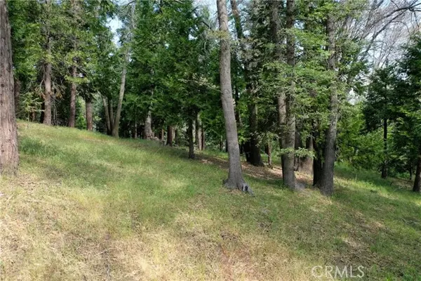 Lake Arrowhead, CA 92352,399 Cedar Ridge Drive