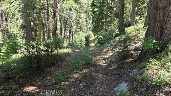 Cedarpines Park, CA 92322,0 Deer Run Road