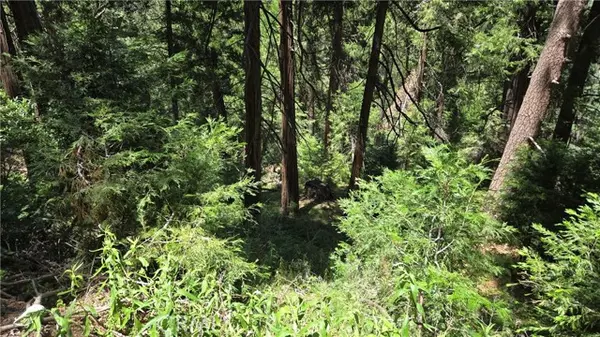 Cedarpines Park, CA 92322,0 Deer Run Road