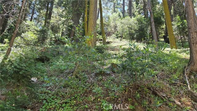 0 Waters Drive, Cedarpines Park, CA 92322