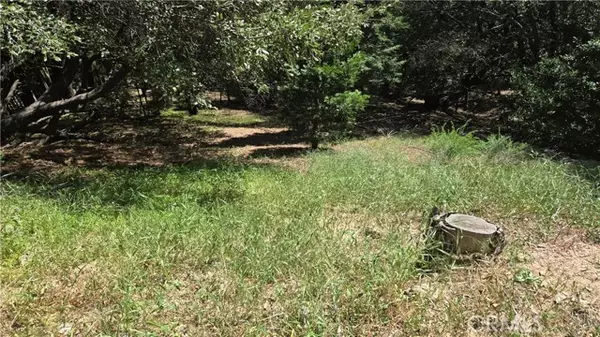 Crestline, CA 92325,0 Chateau Drive