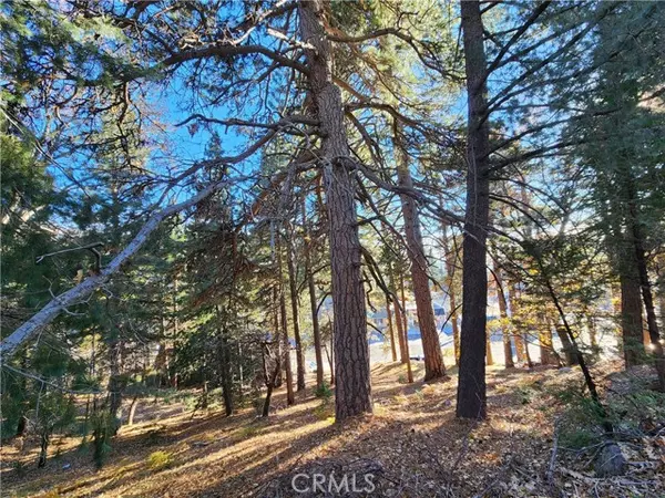 Rimforest, CA 92378,0 Lovers Lane