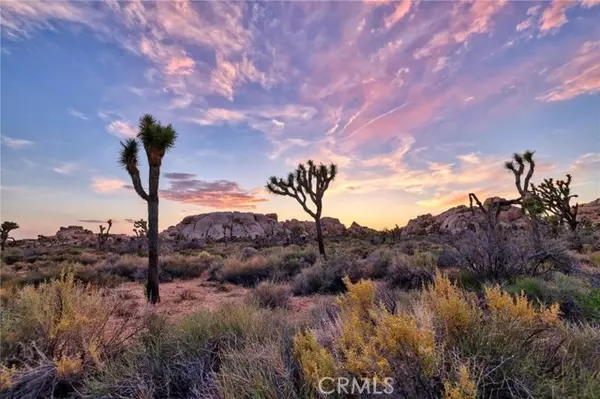 Joshua Tree, CA 92252,65076 E Broadway