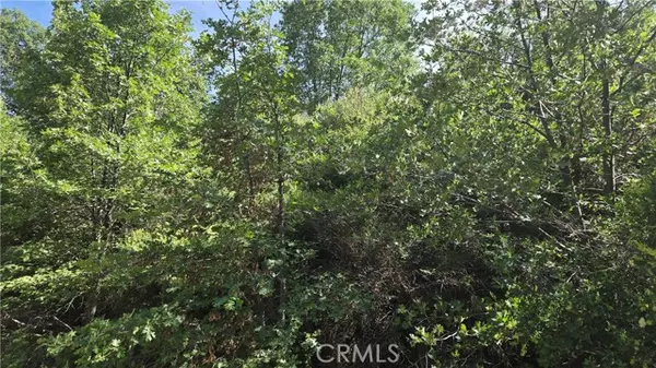 Cedar Glen, CA 92321,0 Elder Drive