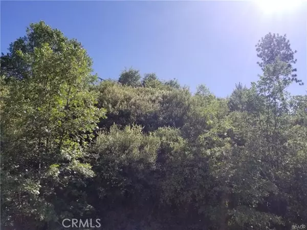 Cedar Glen, CA 92321,0 Elder Drive