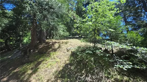 Cedarpines Park, CA 92322,22494 Mojave River Road
