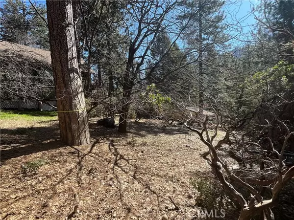 Angelus Oaks, CA 92305,0 Robin Oak Drive
