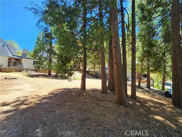 Lake Arrowhead, CA 92352,0 Hemlock Drive