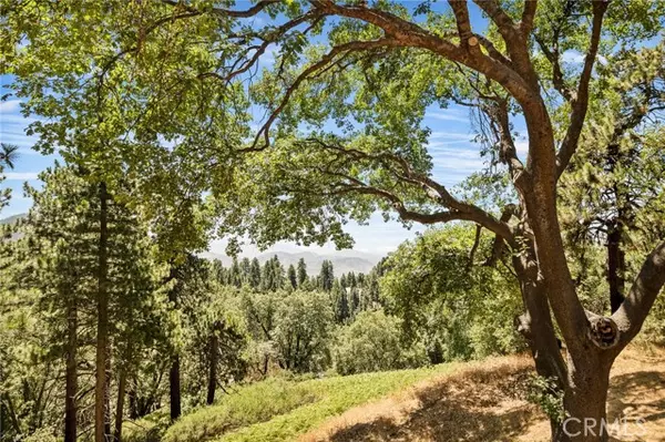 Running Springs, CA 92382,2461 Spring Oak Drive