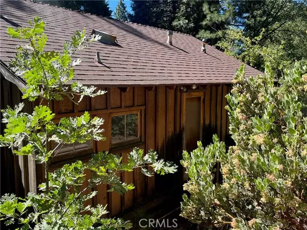 Angelus Oaks, CA 92305,6020 Lake Drive