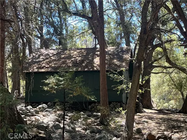 Angelus Oaks, CA 92305,7 Oak Court #78