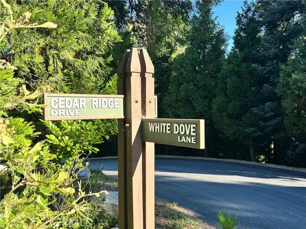 Lake Arrowhead, CA 92352,28980 White Dove Lane