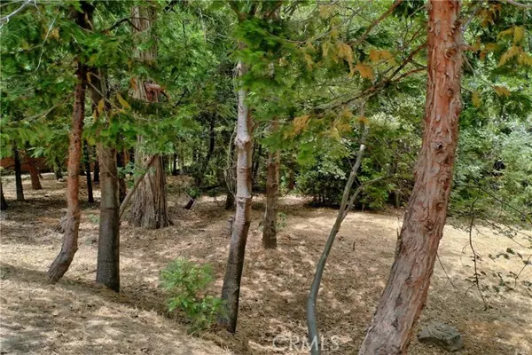 27513 Meadow Bay Drive, Lake Arrowhead, CA 92352