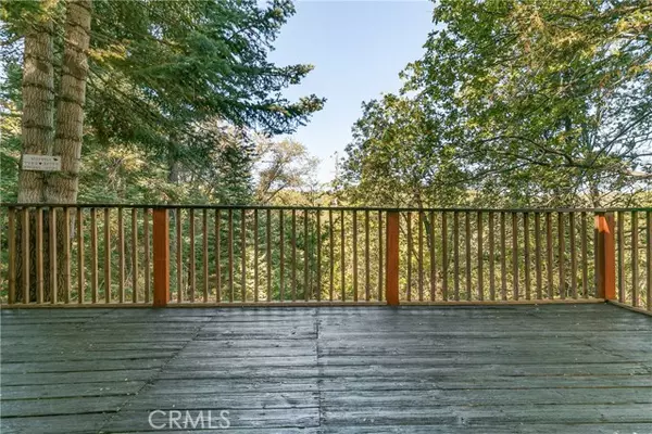 Twin Peaks, CA 92391,628 Rose Lane