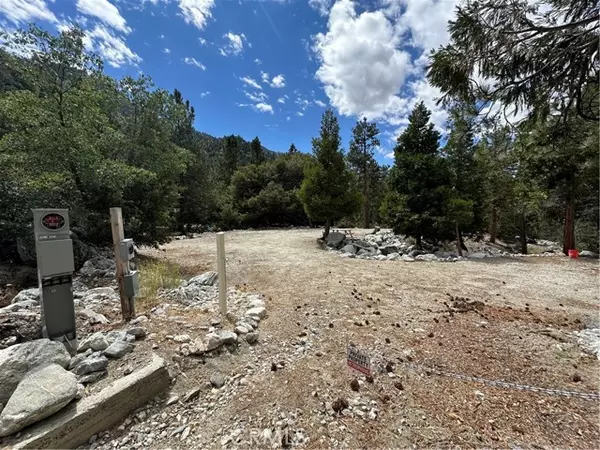 41385 Alder Drive, Forest Falls, CA 92339