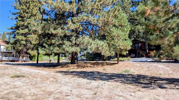 Green Valley Lake, CA 92341,0 Wild Rose