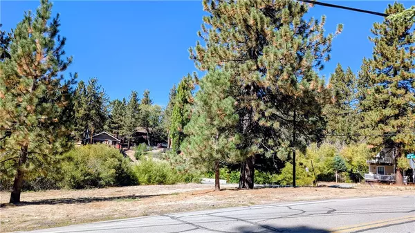 Green Valley Lake, CA 92341,0 Wild Rose