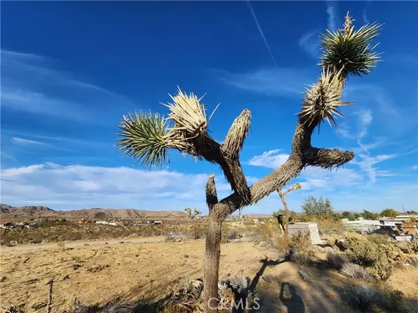 Joshua Tree, CA 92252,61329 Rocky Vista