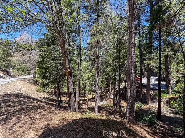 Lake Arrowhead, CA 92352,180 Grass Valley Rd. #5