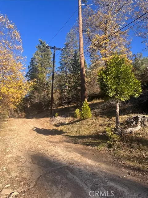 Cedar Glen, CA 92321,29834 Juniper Drive