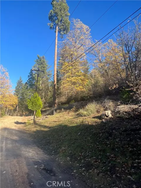 Cedar Glen, CA 92321,29834 Juniper Drive