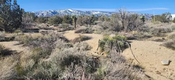 10224 Via Verde Avenue, Pinon Hills, CA 92372