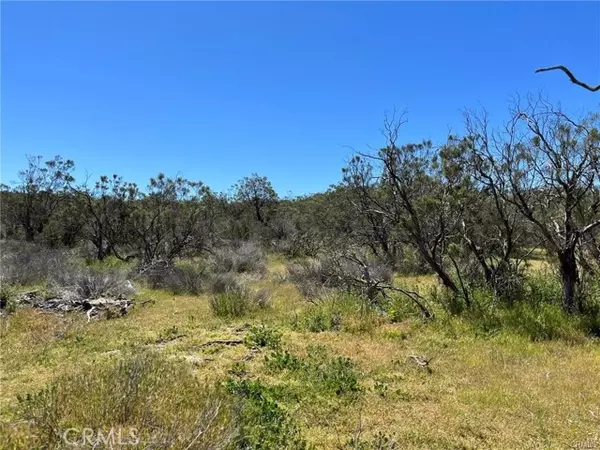 Aguanga, CA 92536,1 Barbara Trail