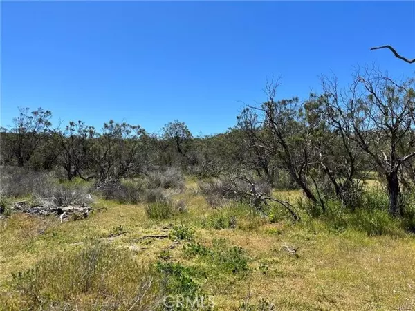 Aguanga, CA 92536,4 Barbara Trail