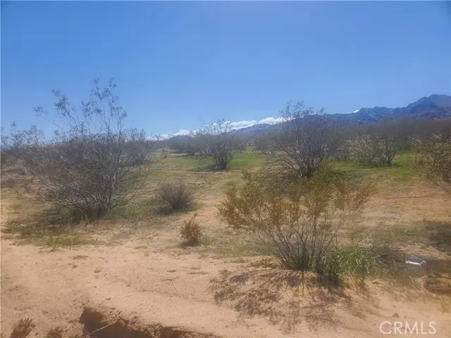 Apple Valley, CA 92307,0 00