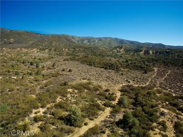 Anza, CA 92539,7 Old Forest